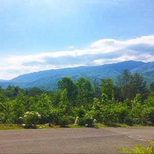 Meet your Posher, Carli